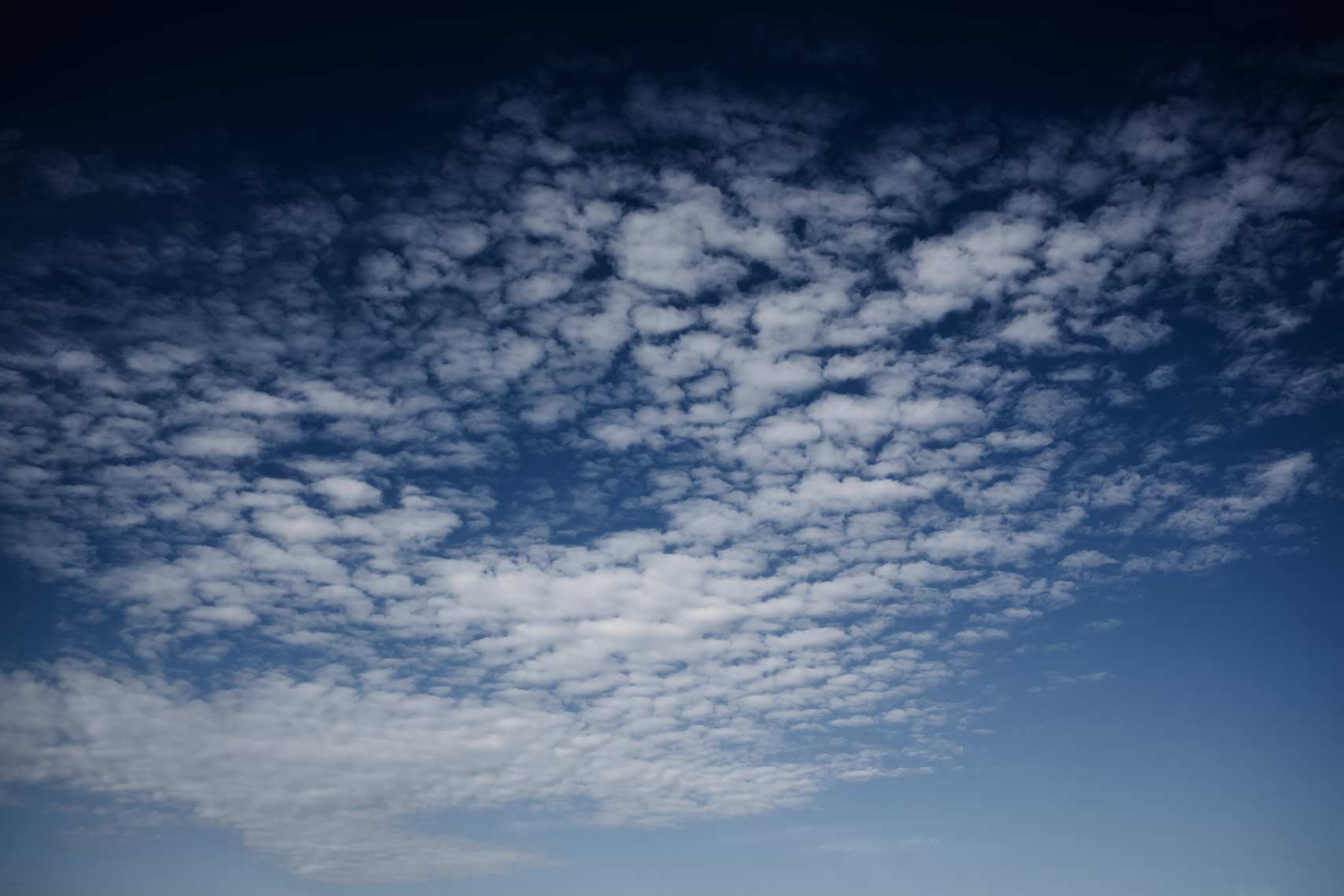 5D_Mkll_RAW_AUG_2009_0711.jpg