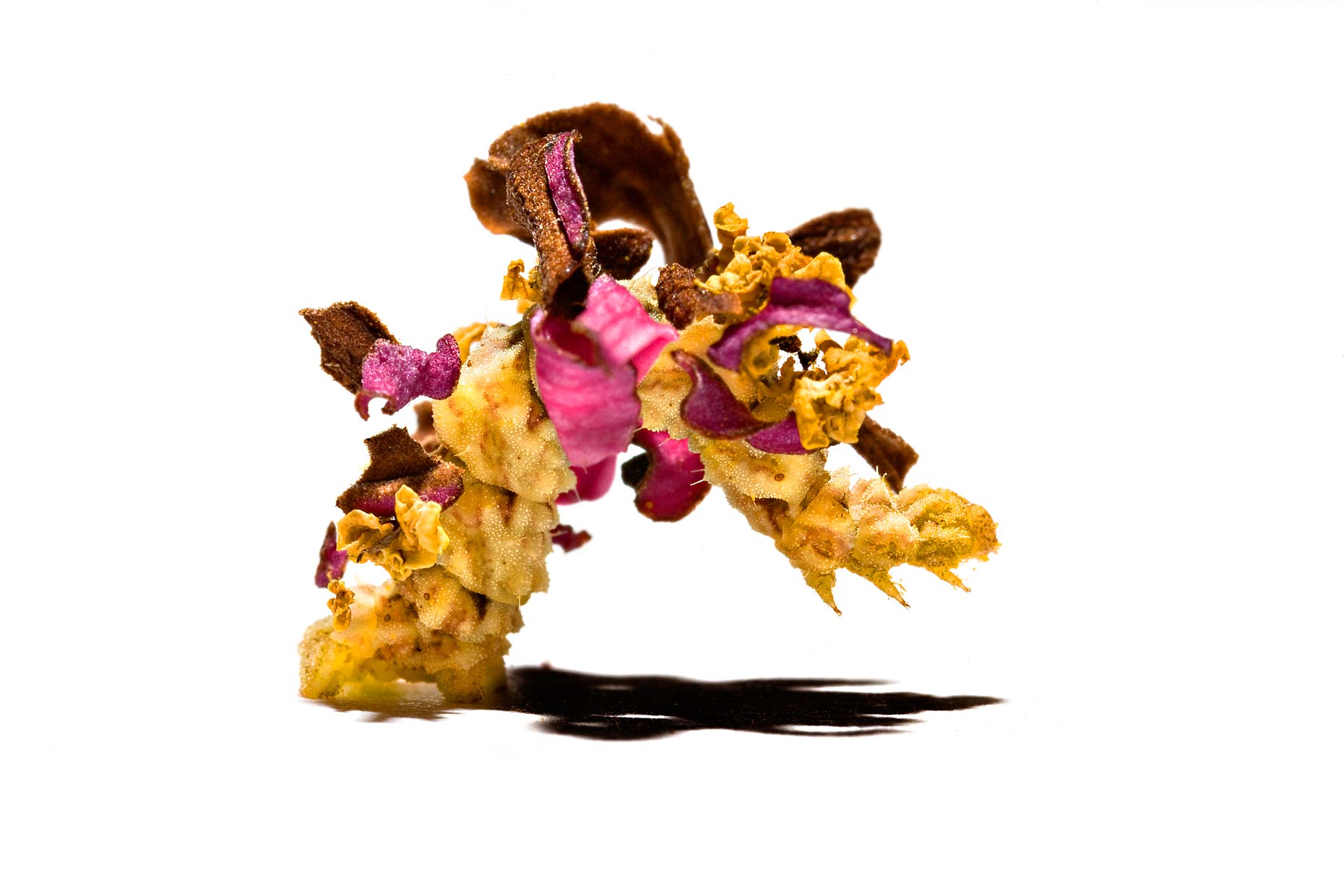 APE_A5F8324.jpg