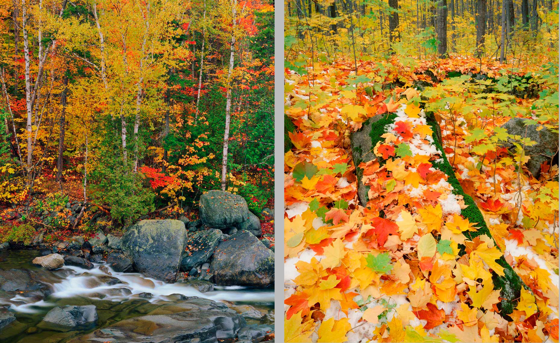 autumnpair1.jpg